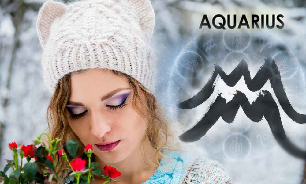 Aquarius in Vedic Astrology