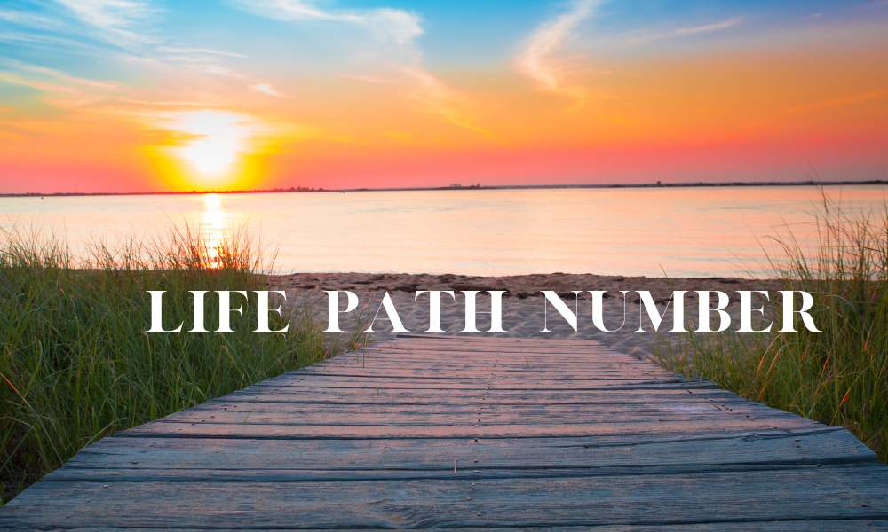find Life path number